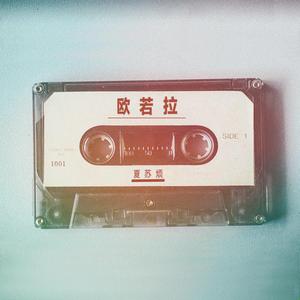 91香蕉视频导航
